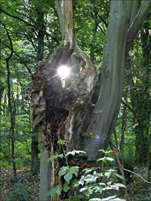Sonnendurchblick