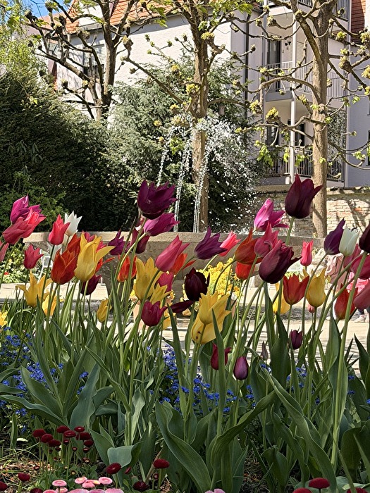 Frühling in Bewegung