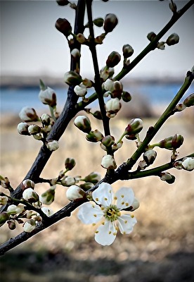Der Natur auf der Spur