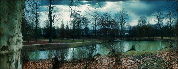 alone in the park