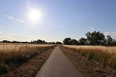 Sommer, Sonne,....