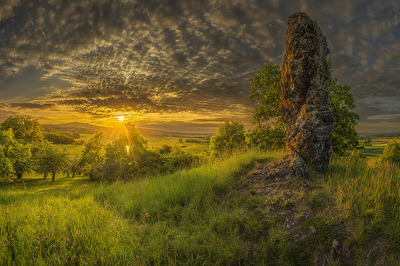 Die Krummen sind nie gerade