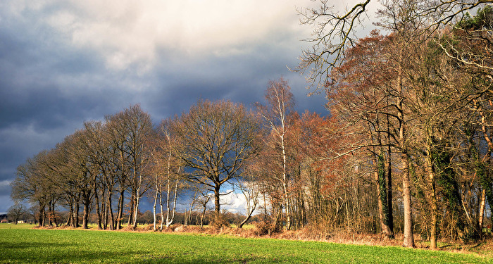 Wieder einmal Hude/Oldenburg