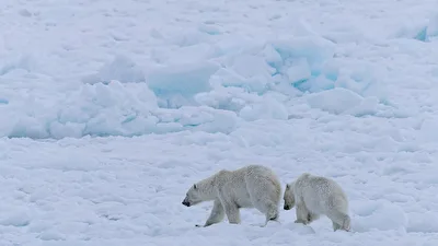 Unterwegs in Spitzbergen
