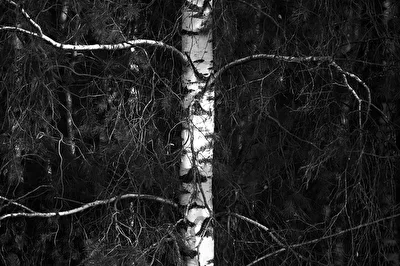 ohne Titel