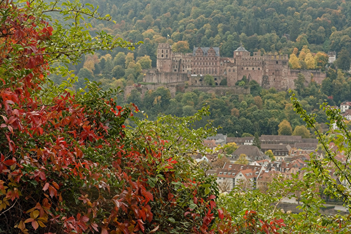 Schloss Heidelberg