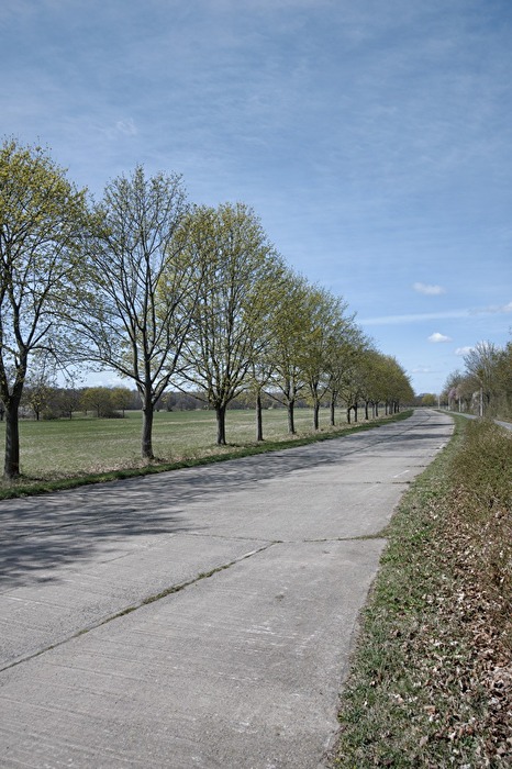 so langsam werden die Bäume grüm