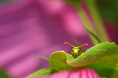 I see YOU!