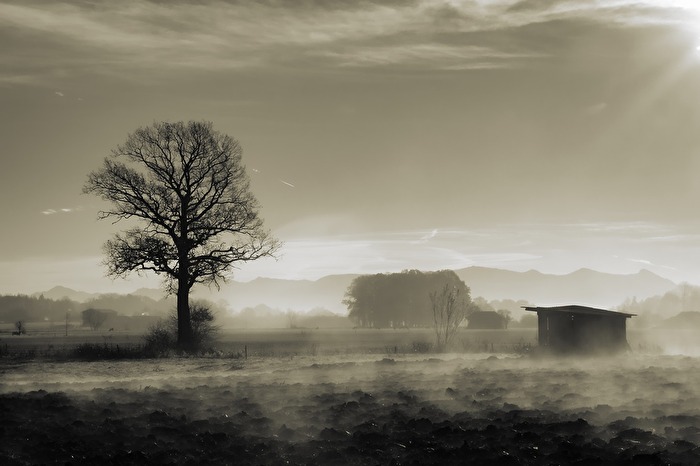 des Landmanns heimischer Scholle