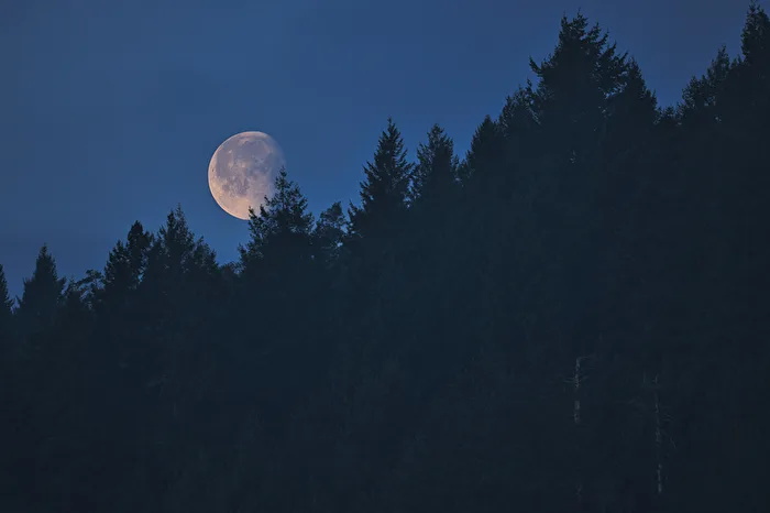 Mond