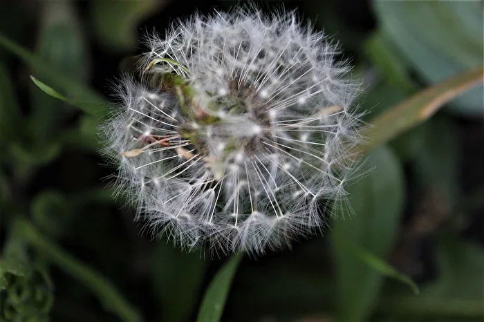 kleine Fallschirme