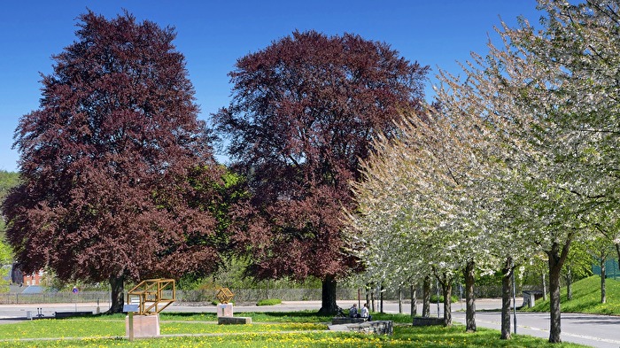 Frühlingsfarben in der Stadt