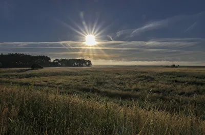 Erwachen