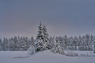Winterlandschaft bei Kuusamo 1