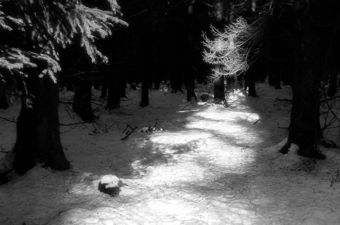 Light Corridor...