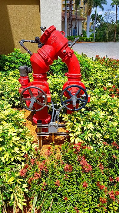 Florida Water Supply