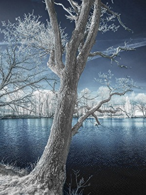 Am Meerpfuhl im Taunus I