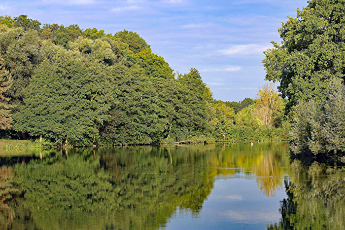 Der Emsenteich