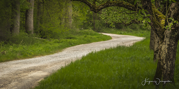 Der Weg