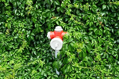 Gut versteckt