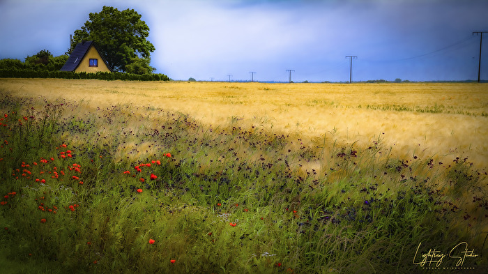 Sommerfeld am Horizont