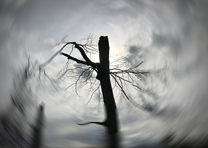 Alles dreht sich um die Sonne...