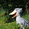 プロフィール写真