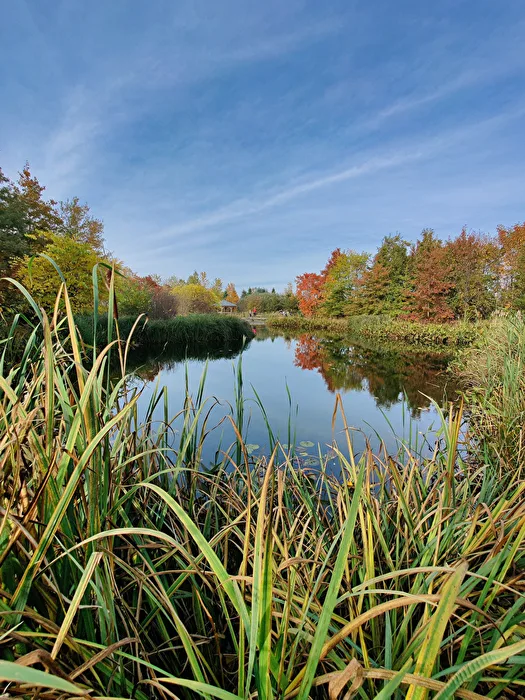 Forstbotanischer Garten Freital