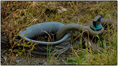 Wir müssen einfach fester zusammenhalten !
