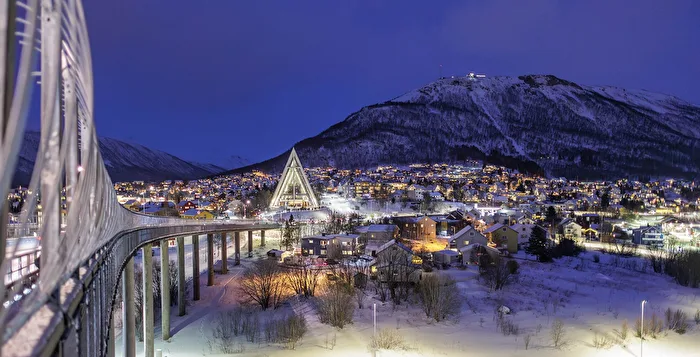 City lights in the polar night I