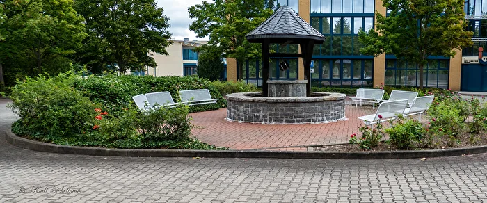 Der Brunnen und sein Umfeld