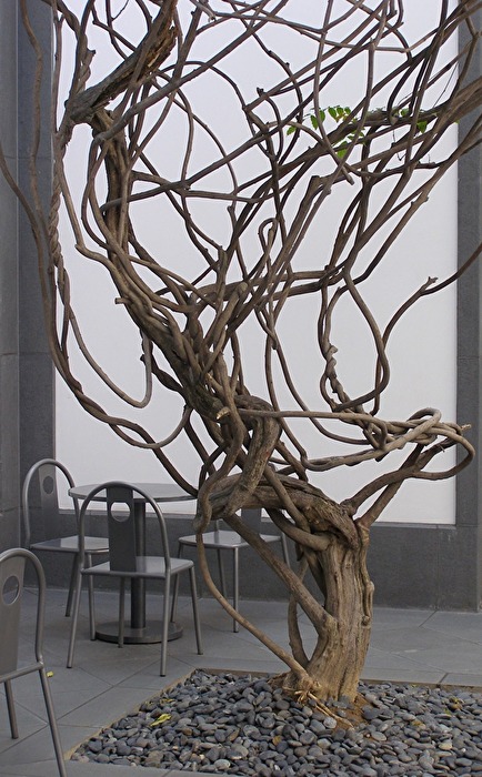 SuZhou Museum Baum 1