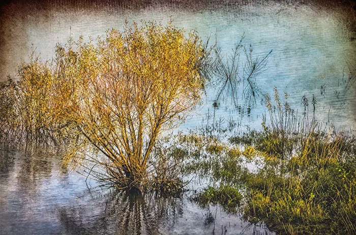 On the shore