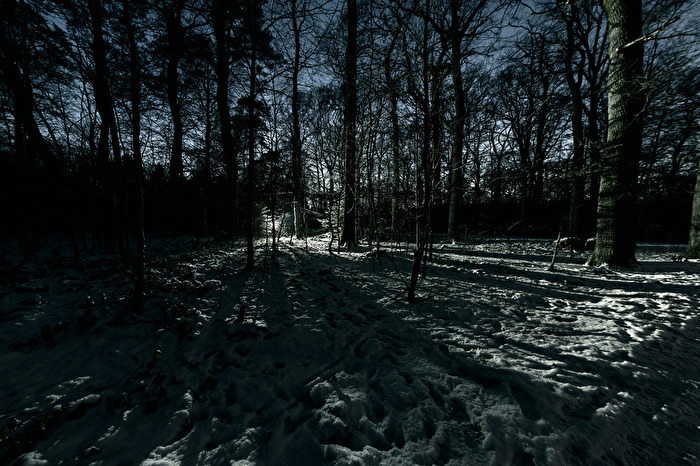 There will be a light.