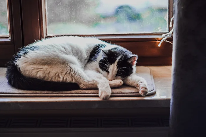Schlechtwetterchillen