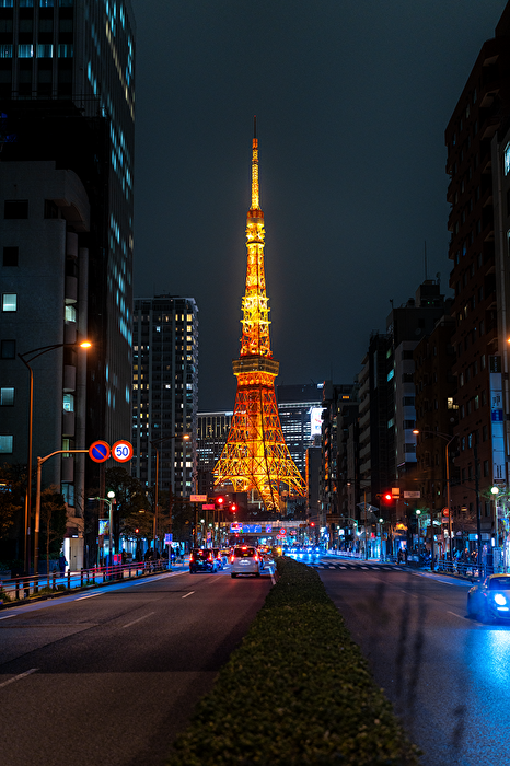 Even the Eiffel Tower sometimes takes a vacation away from home...