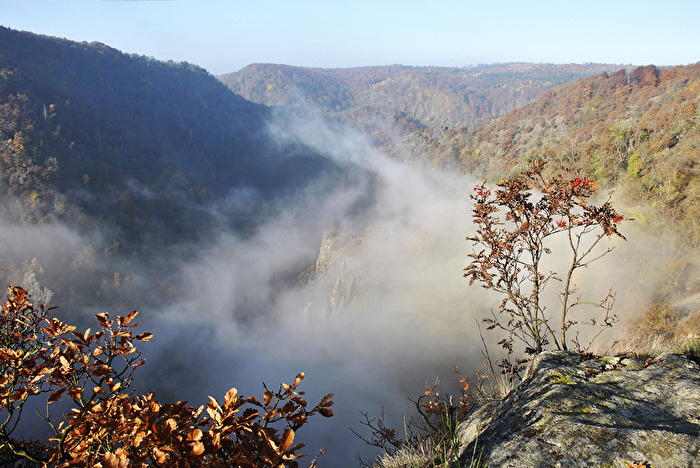 Nebel