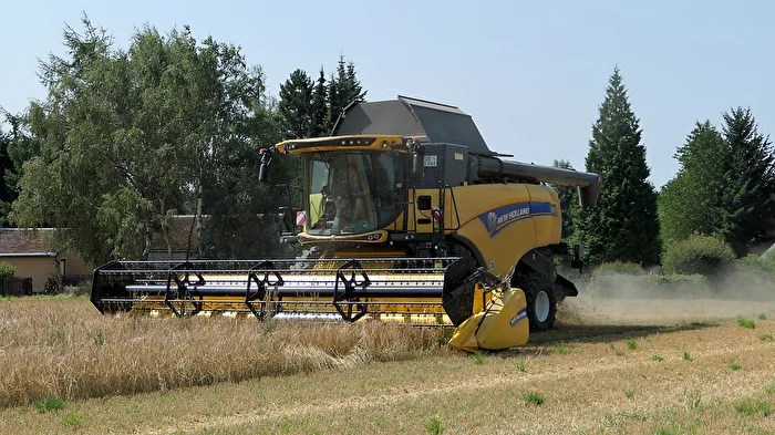 Harvest Time