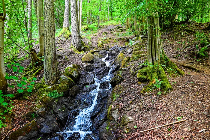 Wo der Wildbach rauscht...