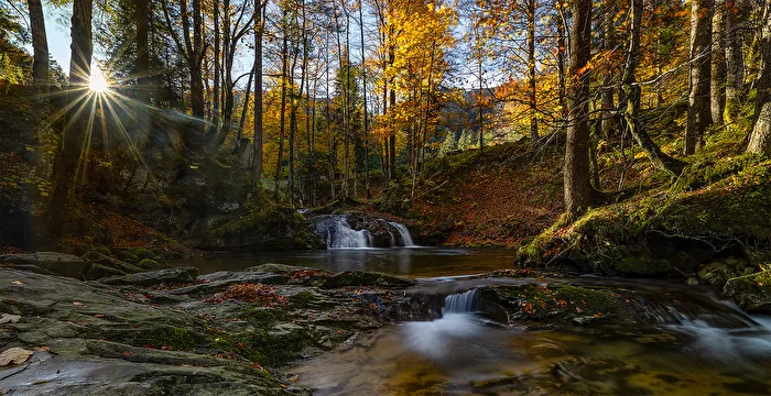 "Vorfreude auf die Herbstzeit........"