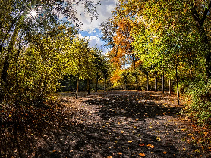 Spätsommer im Park