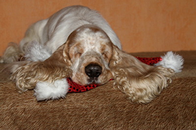 wenn das Model keine Lust mehr hat