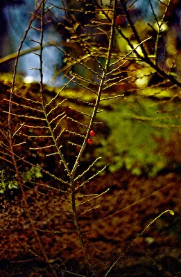 ohne Titel
