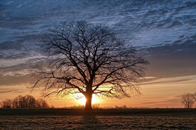 Morgens im Havelland II
