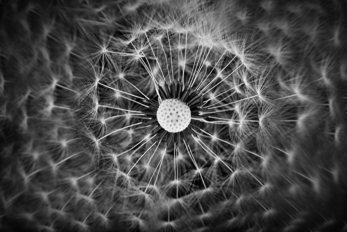 Vom Winde verweht...