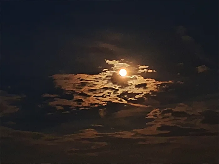 August moon