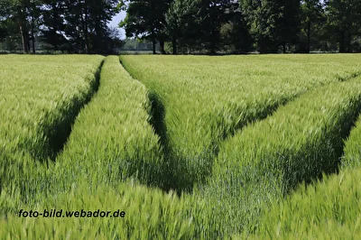 Spuren