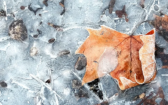 Eiszeit