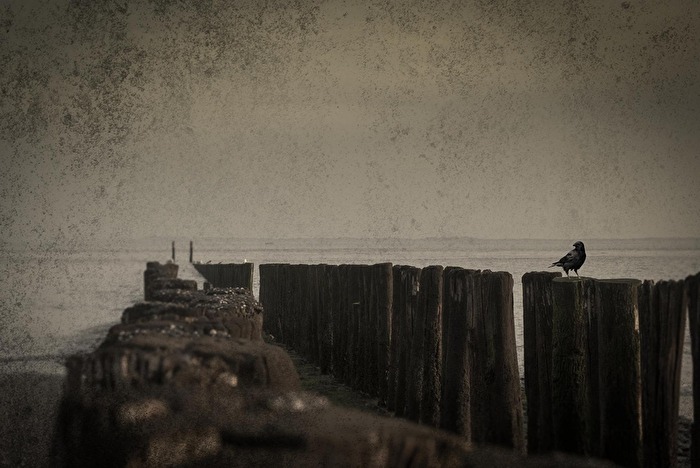 Melancholie