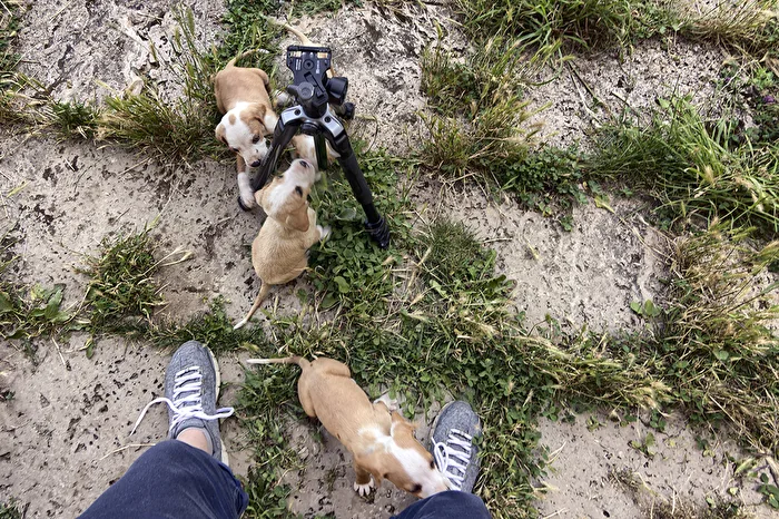 anti-HDR squad